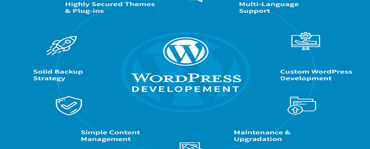 wordpress development